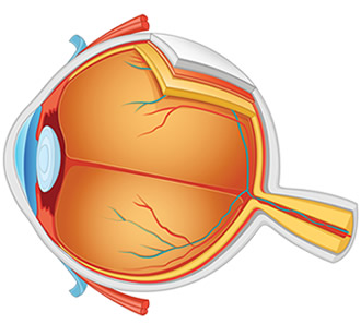 LASIK | PRK Surgery Red Bank NJ